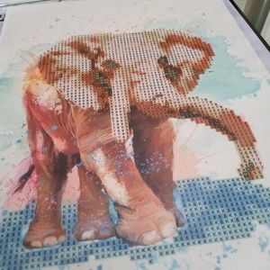 Meet your Posher, Kristy